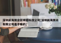 深圳前海微企区块链科技公司[深圳前海微众有限公司是干嘛的]